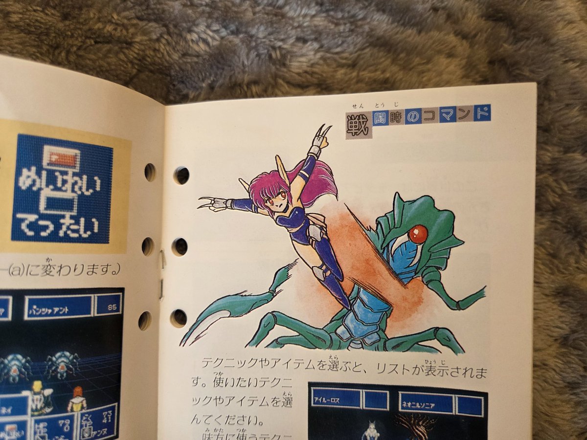 SectionSkyly tweet media