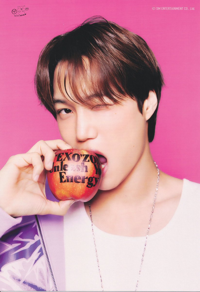 五只小肥熊vivi 비비안 tweet media