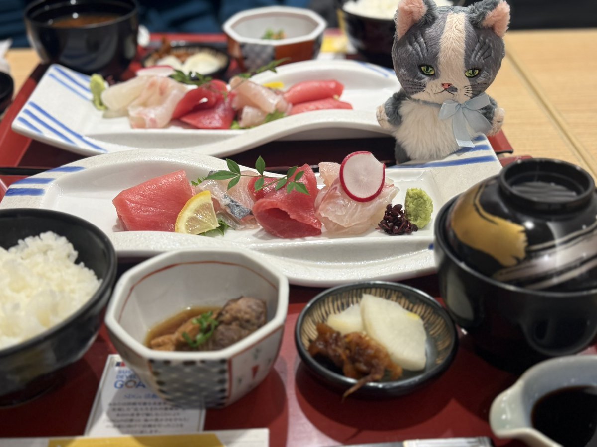 I Dollお疲れ様でした！
なんだかんだで閉会間際まで居ました✨楽しかった🥰
顔のシュッとしたはなくそちゃんお迎え🫶