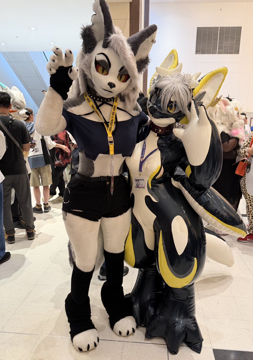 ✨ Phoebe 🐭✨ 🔜 Thai Tails, LVFC tweet media