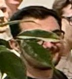 Ali - Kailoren tweet media