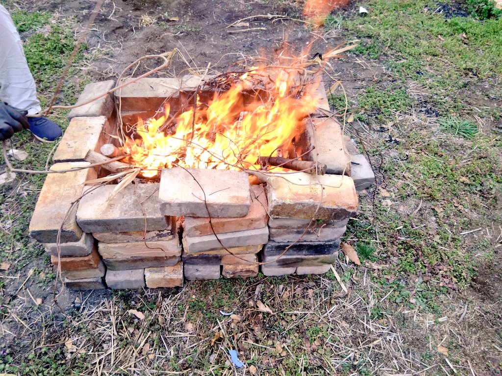 おだやかな視点 tweet media