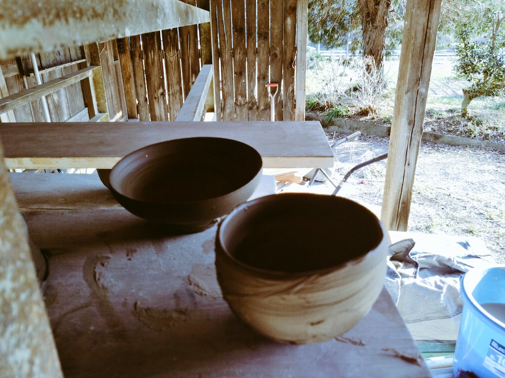 おだやかな視点 tweet media