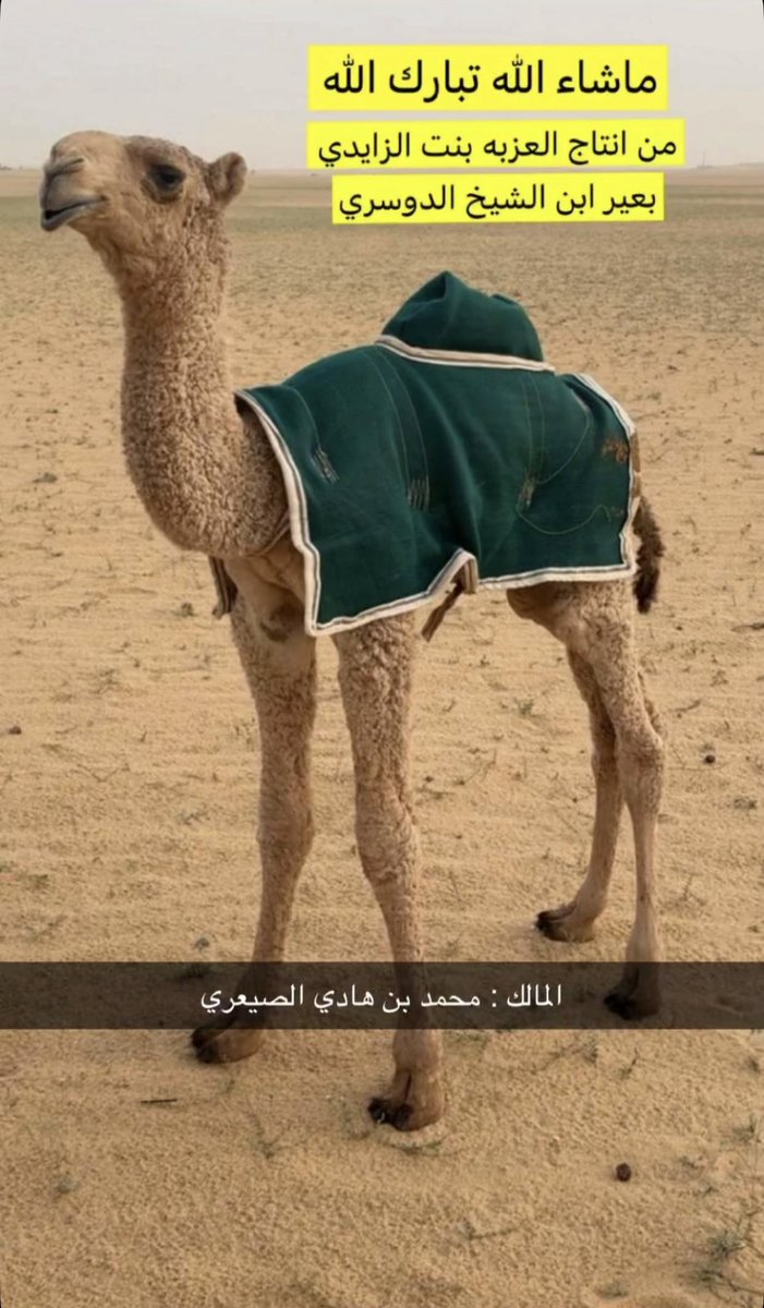 عبدالعزيز الدوسّري tweet media