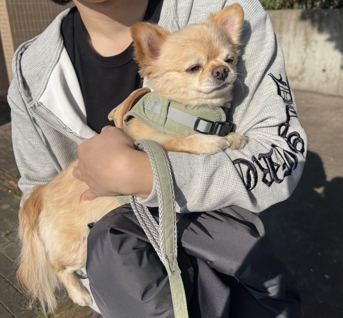 てん（６） tweet media