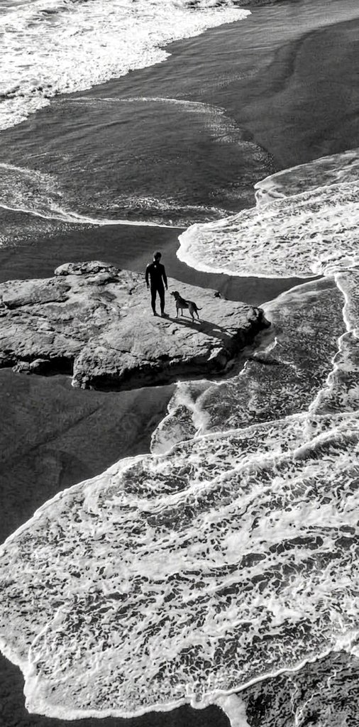 Frances52779614's tweet image. Per abitare un pensiero serve il silenzio di un trasloco. 

#BricioleDiPensieri
Taccuino 

#offline ...🕊️