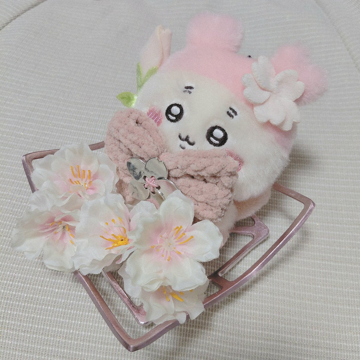 _chili_tf's tweet photo. 🌸(ˊ⸝⸝o̴̶̷  ̫ o̴̶̷⸝⸝ˋ)🌸 https://t.co/70GliVRxeF