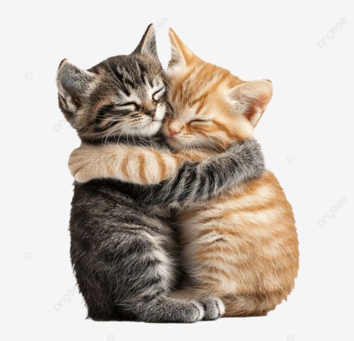 devran 🇪🇸 tweet media