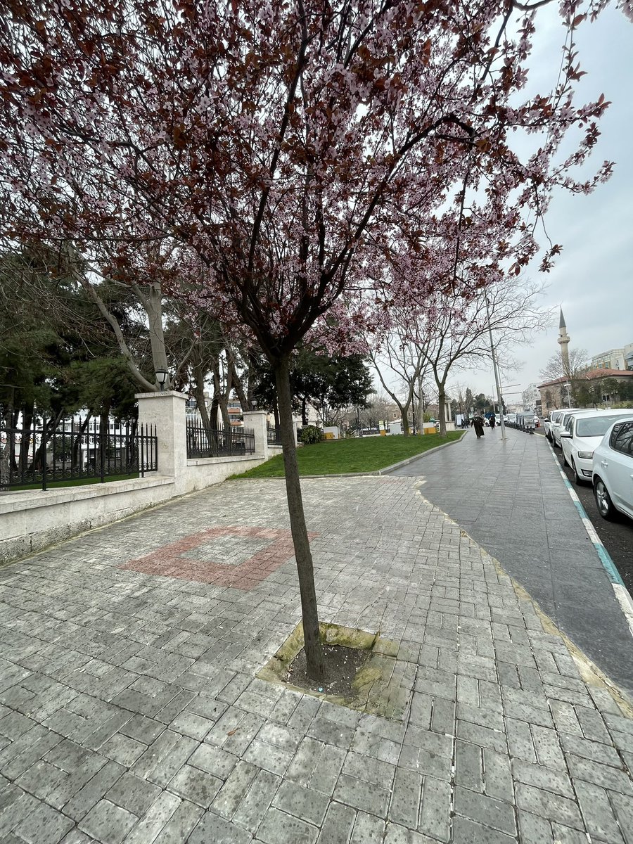 Tekirdağ tweet media