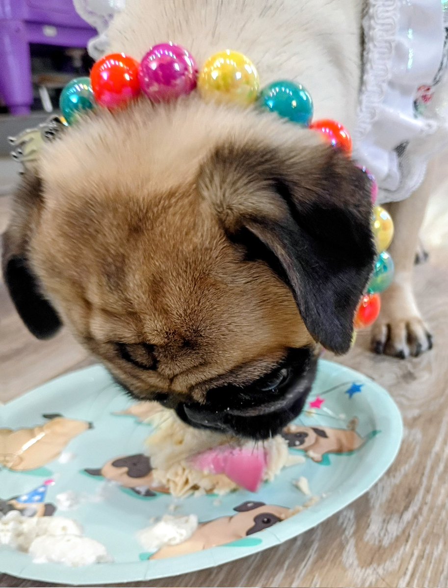 Angel Mushu😇🌈, Zinny🖤, Winny💓, Lucy tweet media