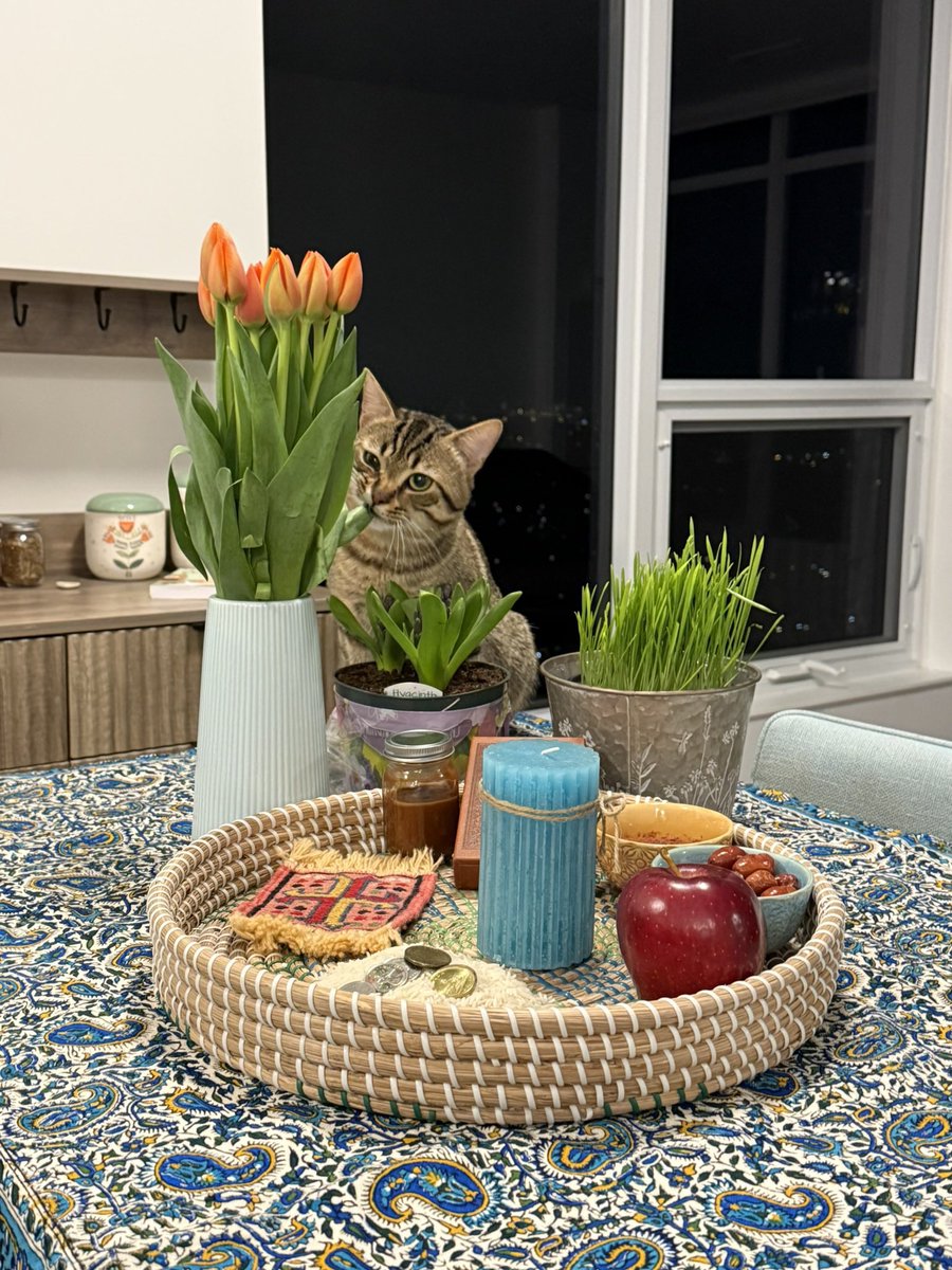 ❆ يخ ❆ tweet media