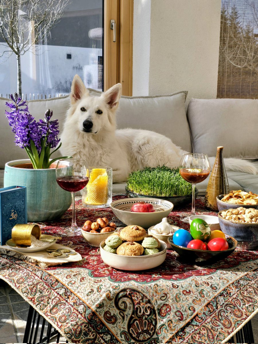 ❆ يخ ❆ tweet media