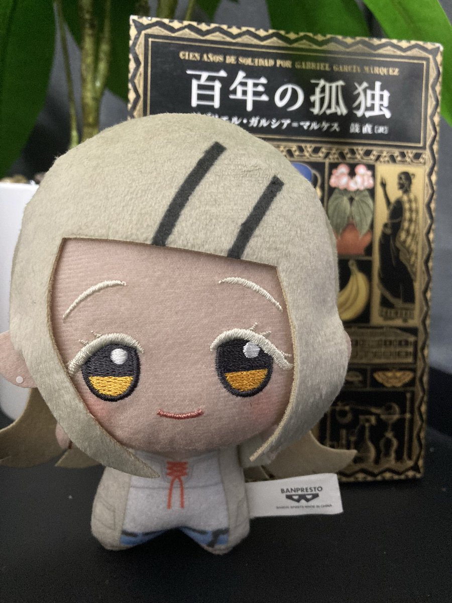 mok3der's tweet photo. 広ぬいを入手... https://t.co/ytGP30Ao1B
