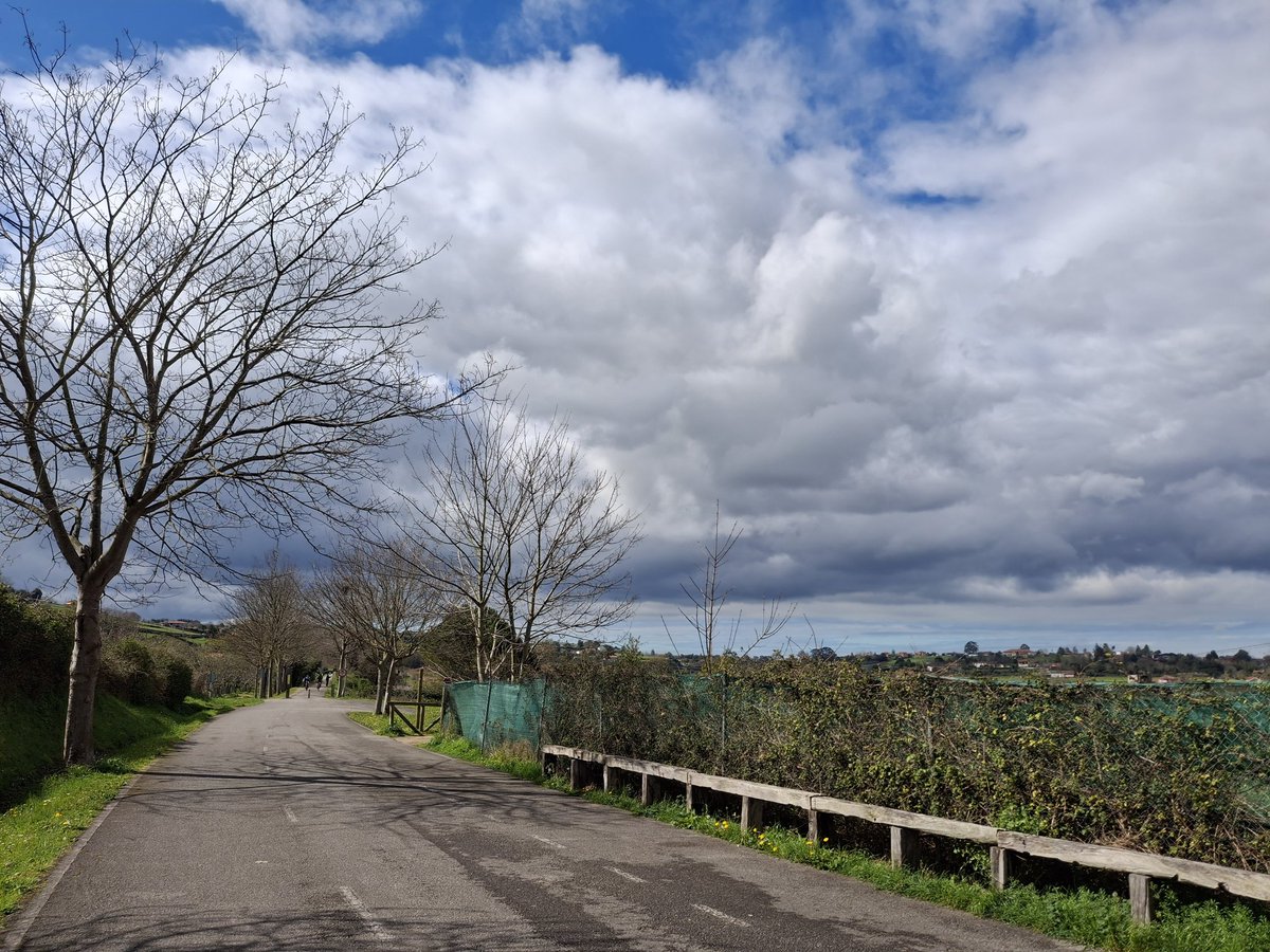 L D Hevia Viejo tweet media