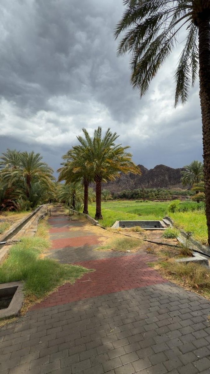 حسين علي البلوشي Hussain Abo Ali tweet media