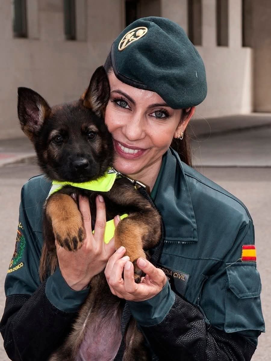 Más q Guardia Civil tweet media