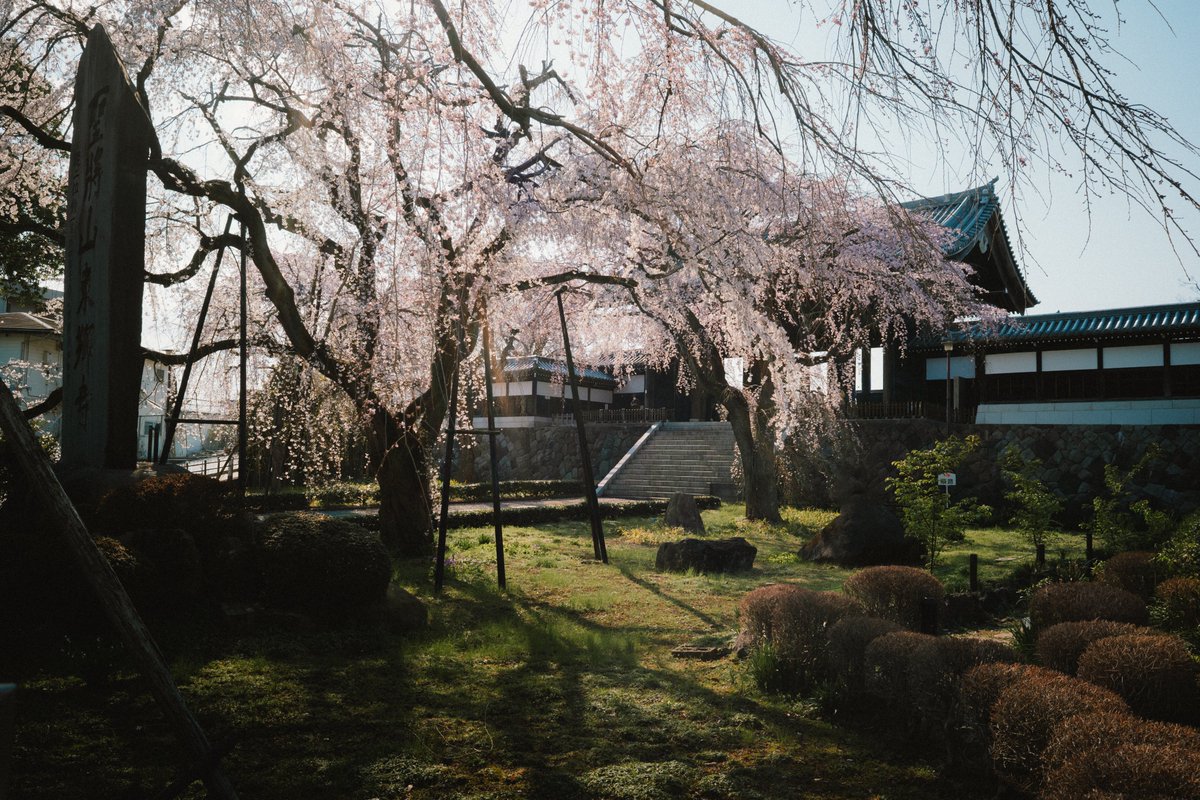 motoki endo tweet media