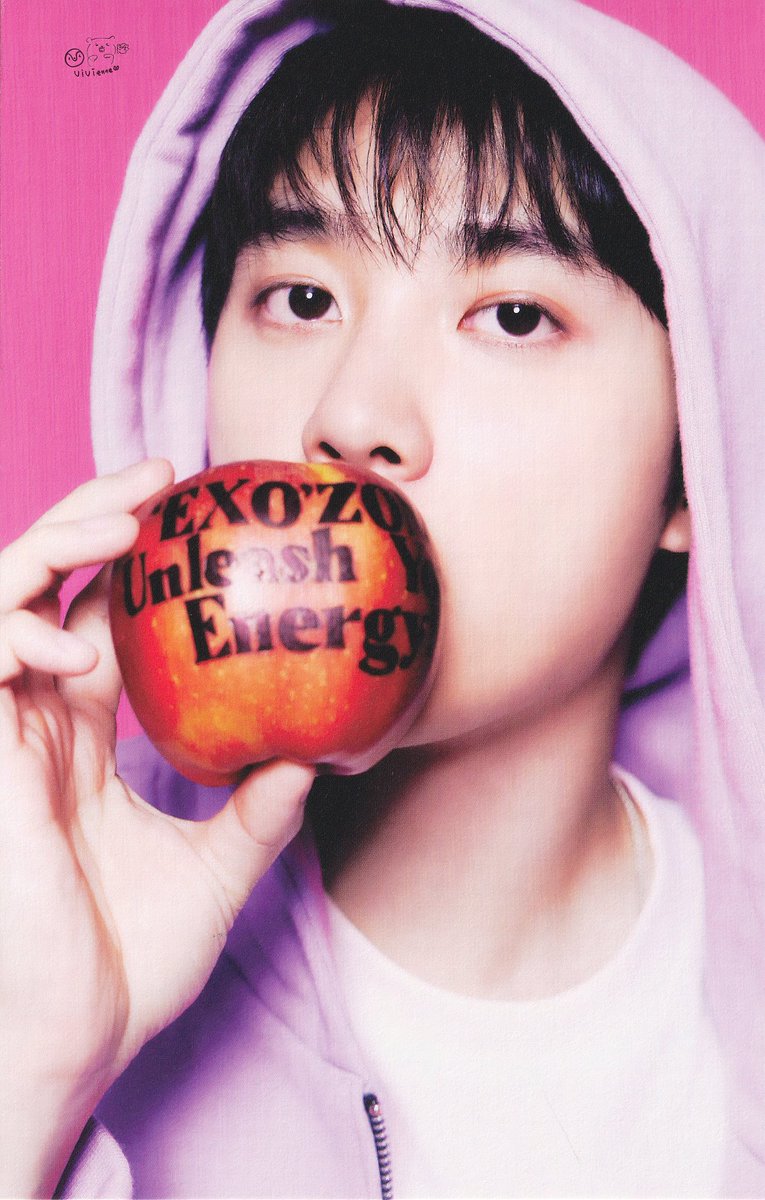 五只小肥熊vivi 비비안 tweet media