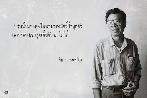 humpback tweet media