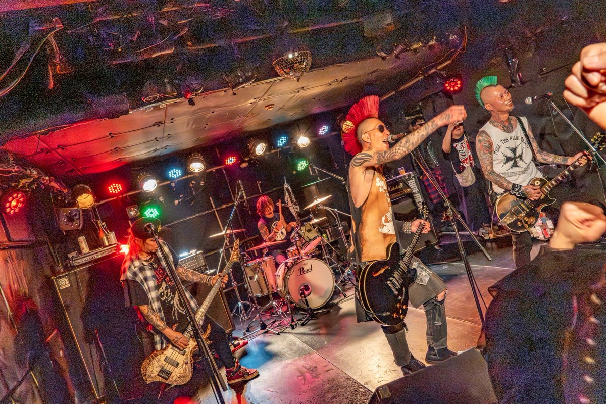 SKINHEAD GIRL tweet media