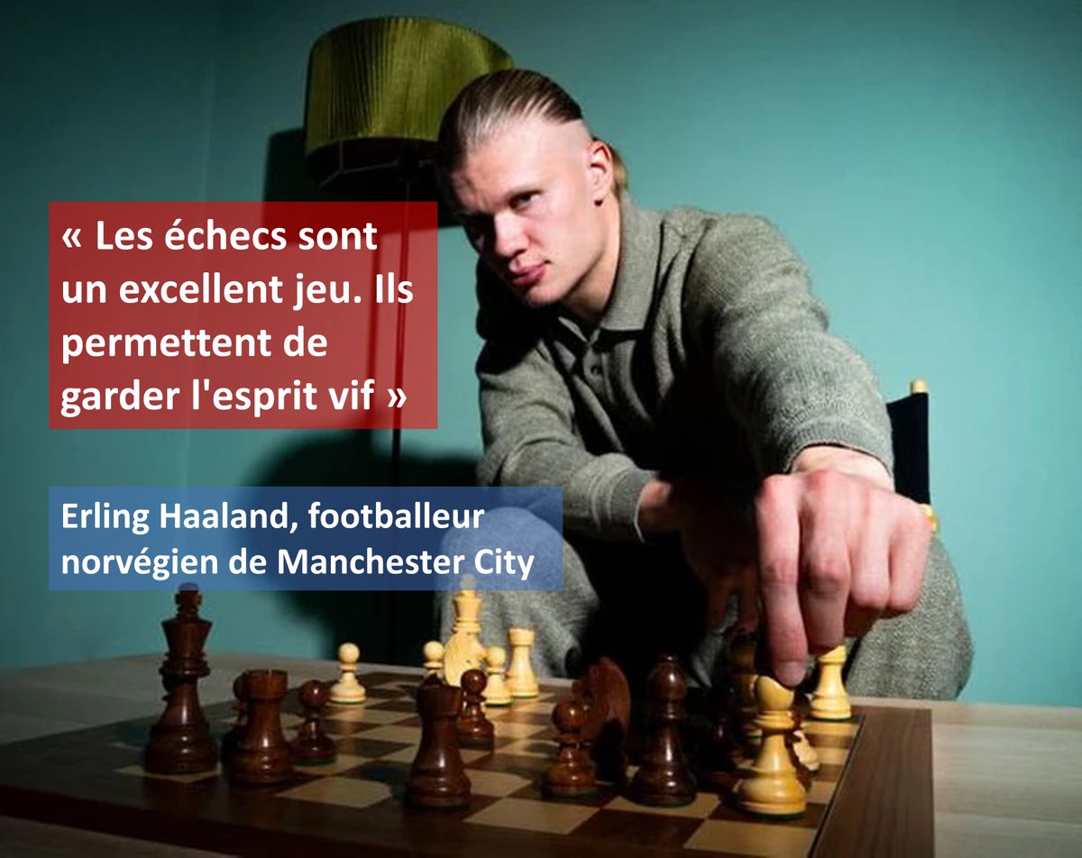 Échecs & Stratégie tweet media