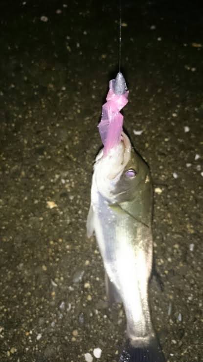 マサシ tweet media