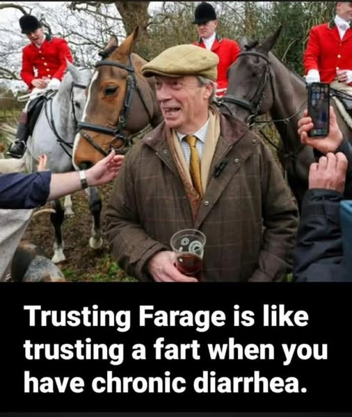 dave lawrence 🐟🐟🐠 tweet media