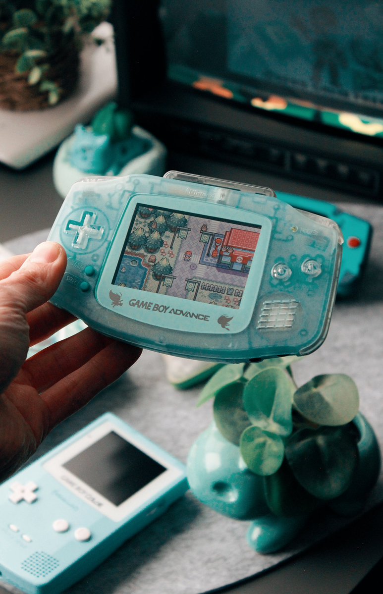 corymidori🌱 tweet media