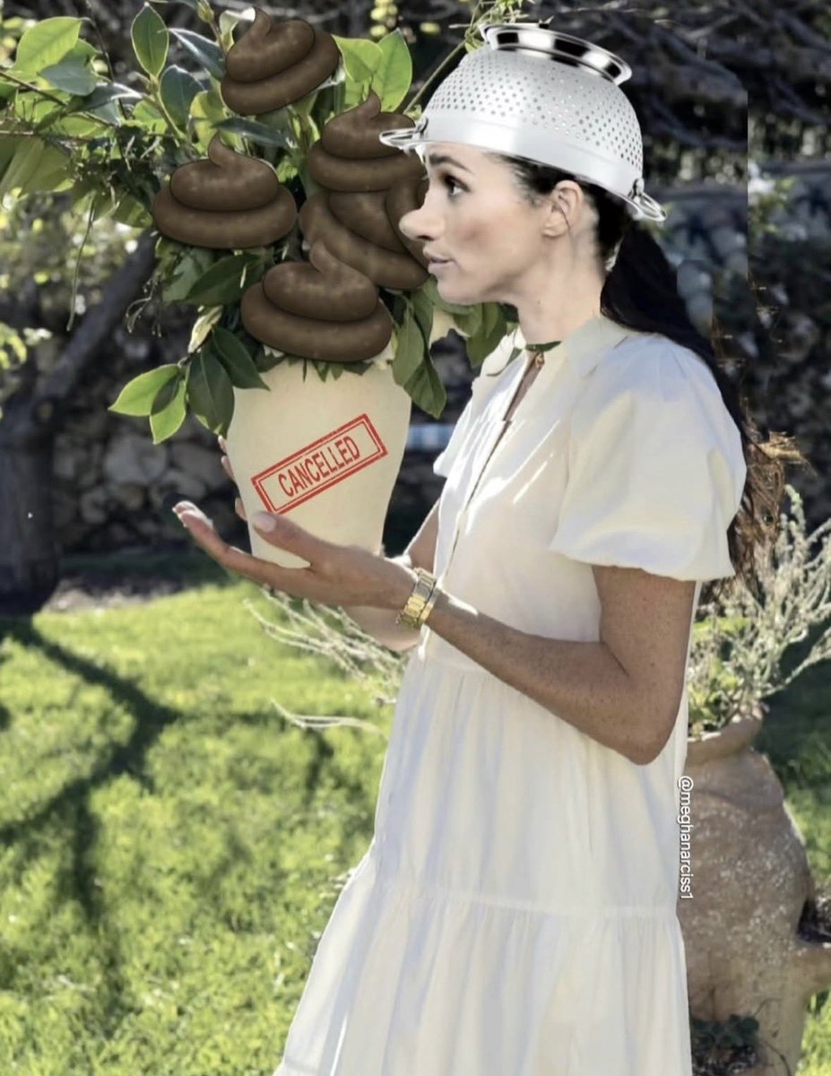 Longsally AKA Sue Smith tweet media