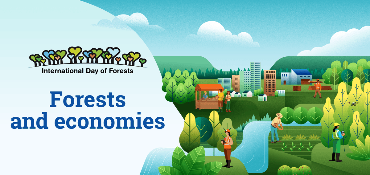 INCA ALBANIA tweet media