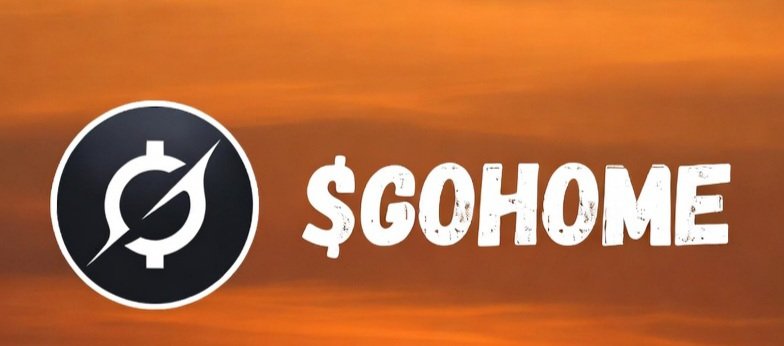 PIXELS 🚀 tweet media