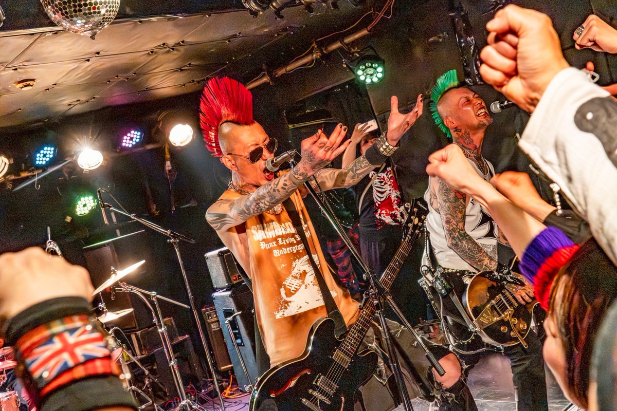 SKINHEAD GIRL tweet media