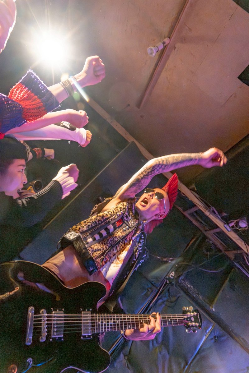 SKINHEAD GIRL tweet media