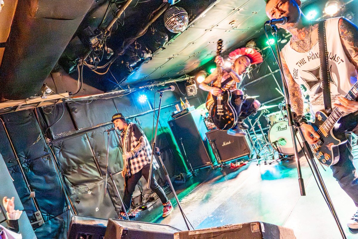 SKINHEAD GIRL tweet media