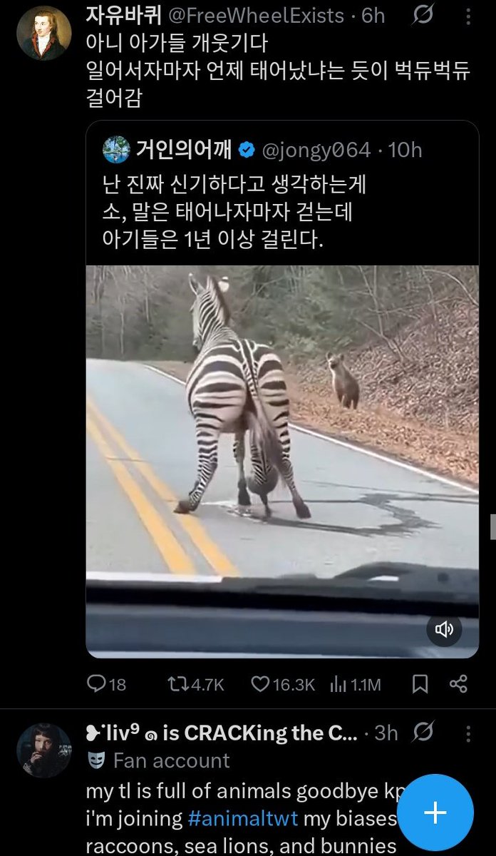 eva 💌( semi ia) tweet media