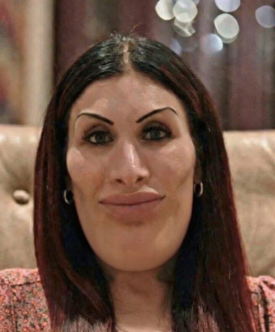 World Monitor tweet media