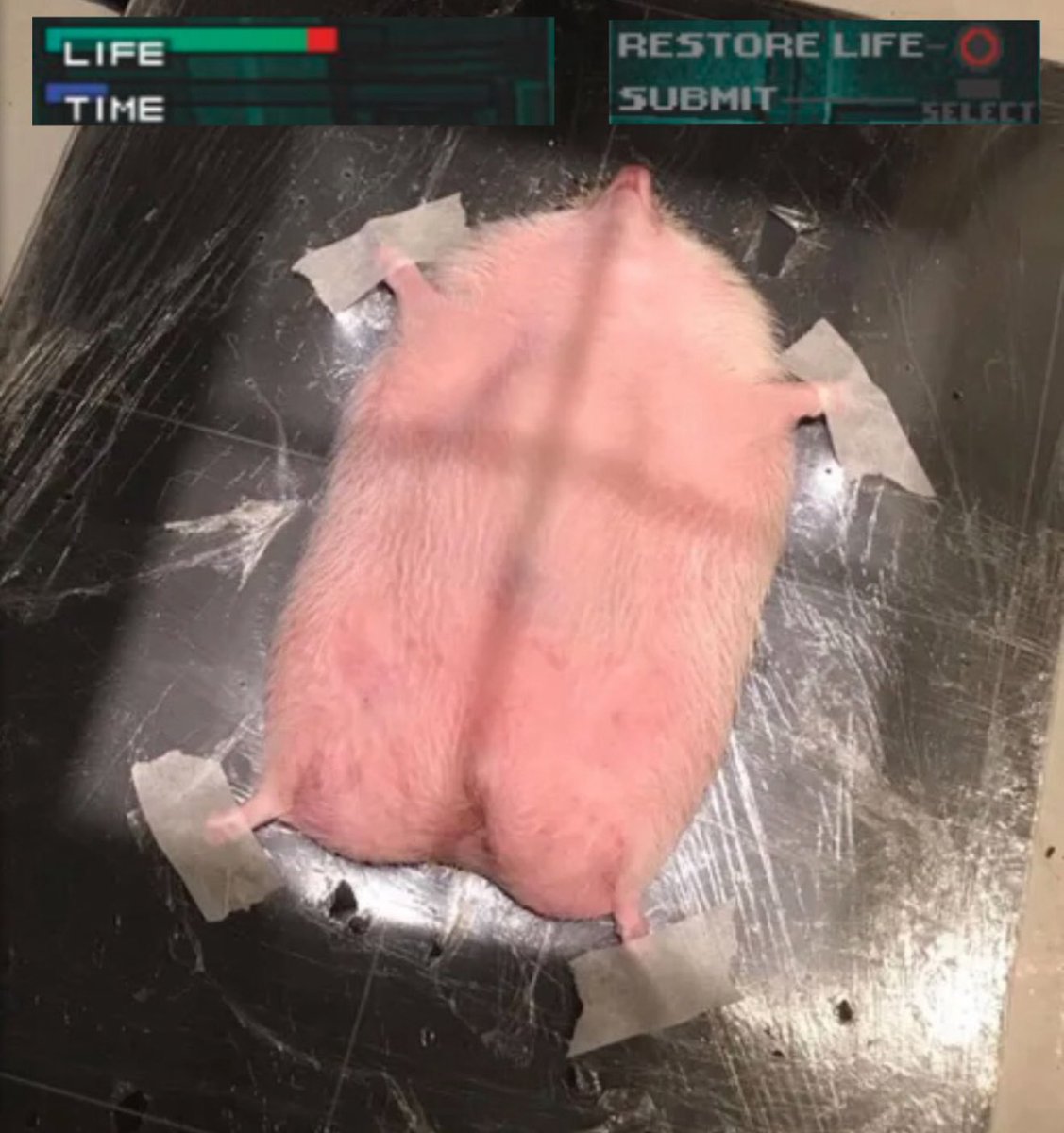 Demolicious tweet media