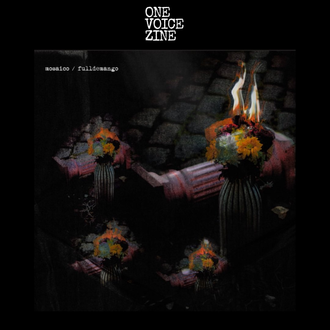 ONE VOICE ZINE tweet media