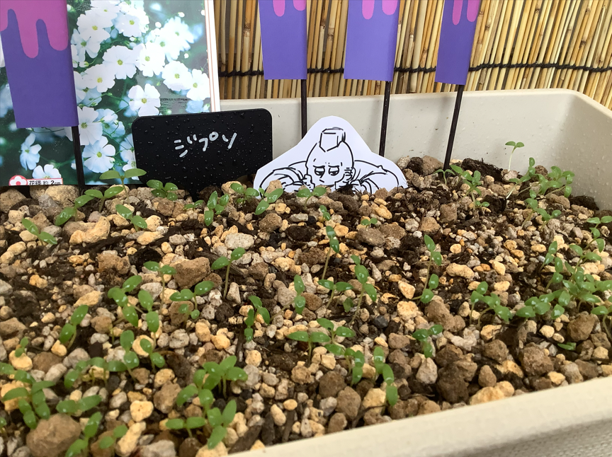 あさぎ あきら（ZAﾈﾀﾊﾞﾚ注意） tweet media