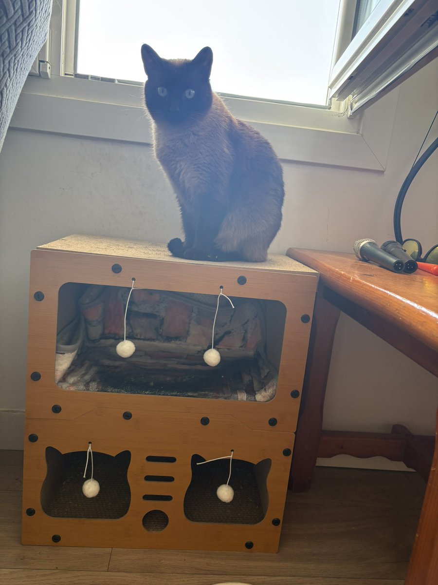 Davizz66 🔻 tweet media