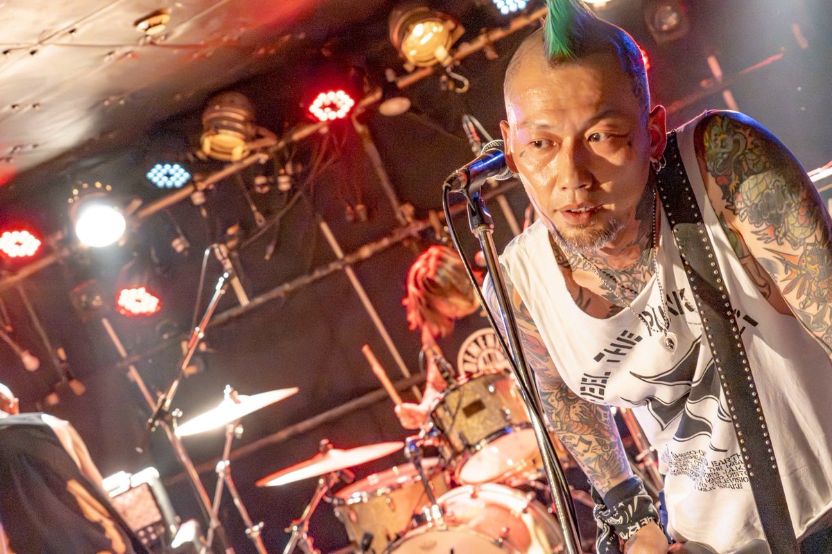 SKINHEAD GIRL tweet media