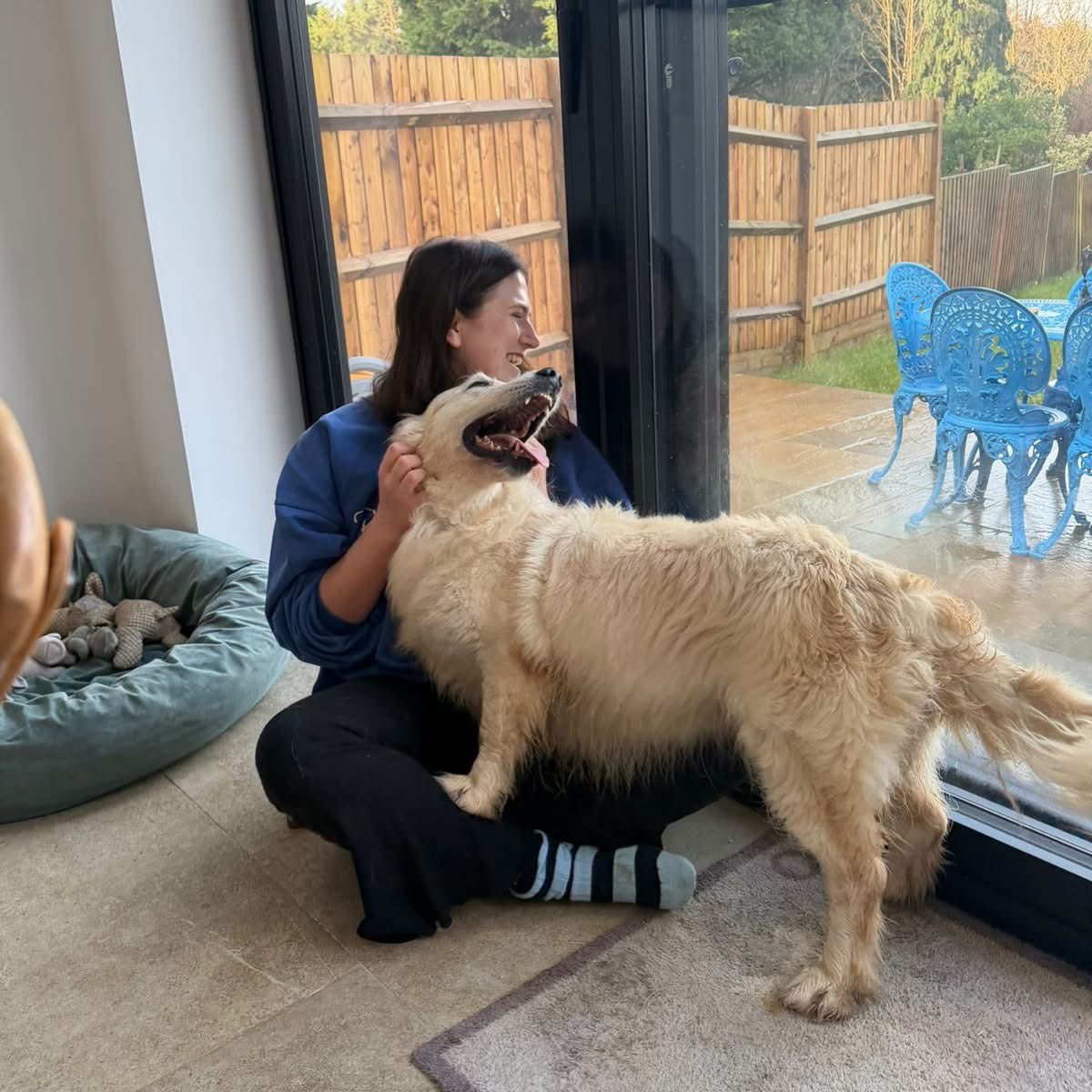 AFAfoundation_'s tweet photo. Waffle has been settling into her new home over the past couple of months, and we think it’s safe to say… she’s well and truly made herself at home 🐾✨

Her new sister Mable welcomed her with open paws, and the two of them have been pretty much inseparable ever since 🤩 just look at them together 😍

According to Waffle’s dad, she’s actually easier than Mable…😂

We were absolutely thrilled when we read their application for Waffle, but even then we couldn’t have imagined a more perfect home and family for her. This is exactly what we hope for every time.

Dreams really do come true ❣️

#welcomehome #rescuedog #afa #adoptdontshop❤️