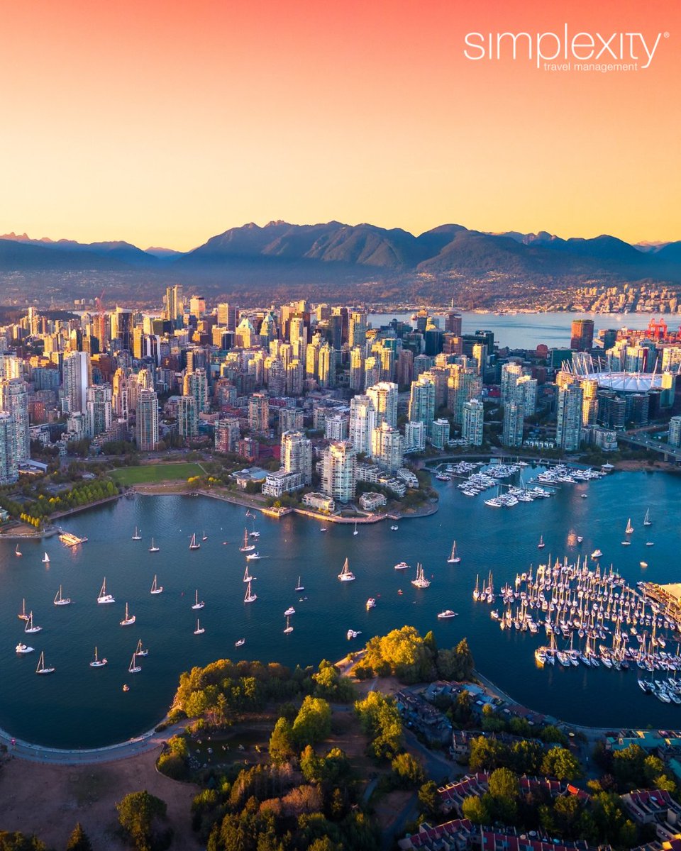 Simplexity Travel tweet media