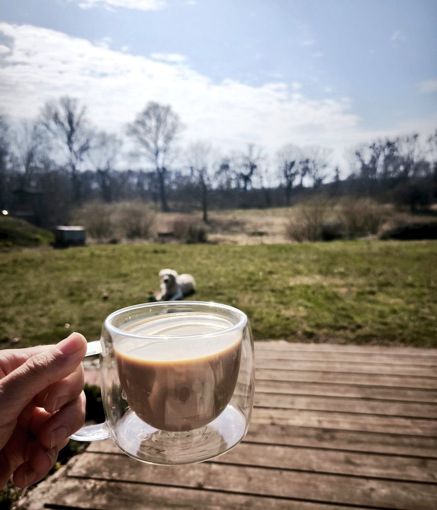 Patrycja ☕ 🇵🇱 ☕ tweet media