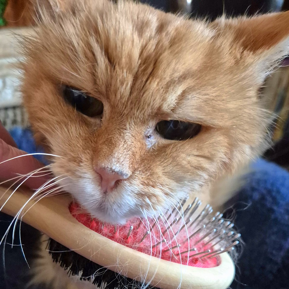 RED'S JEWELS tweet media