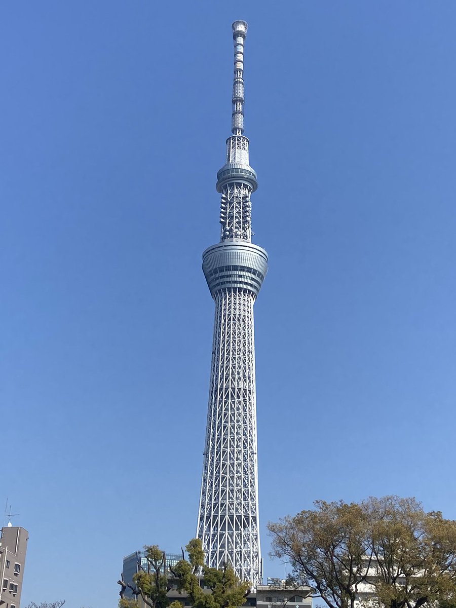 ミスター 미스터 tweet media