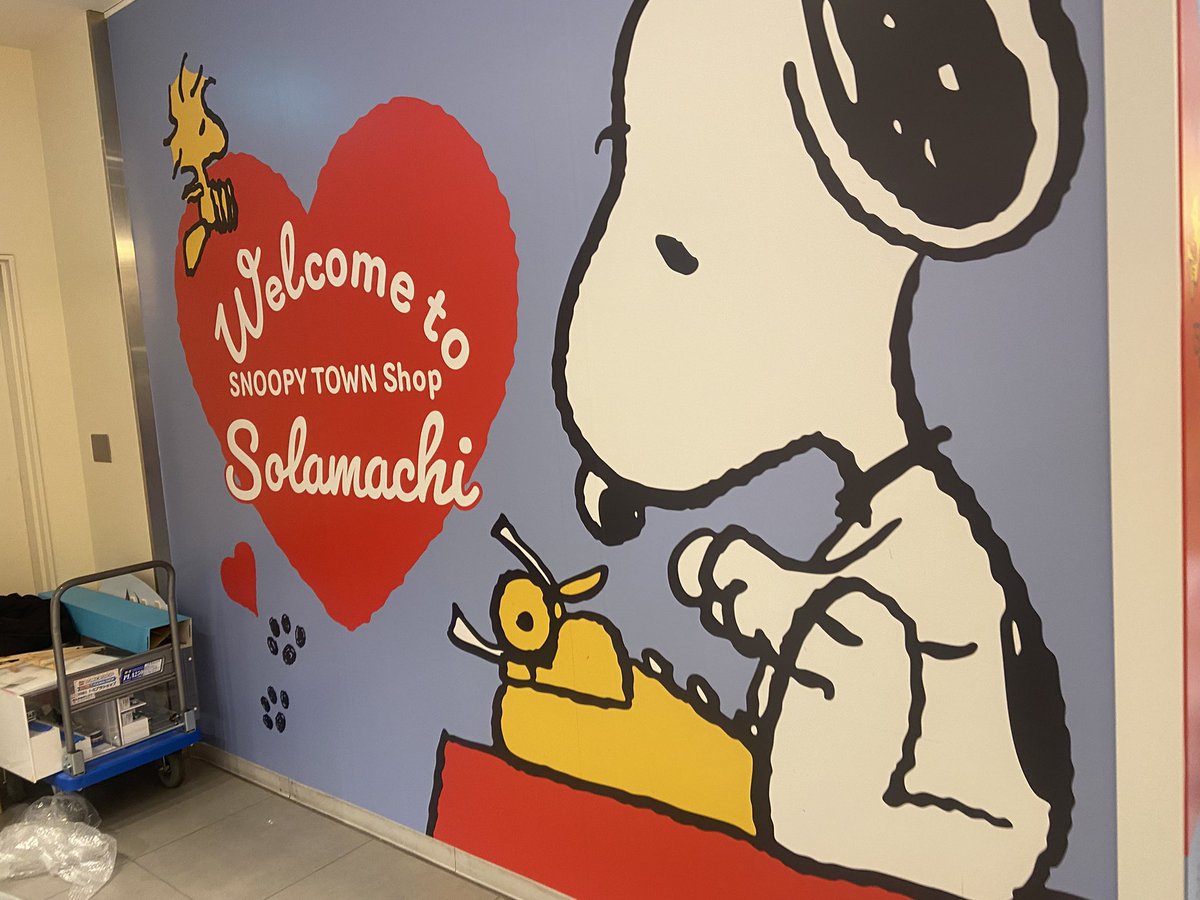 ミスター 미스터 tweet media