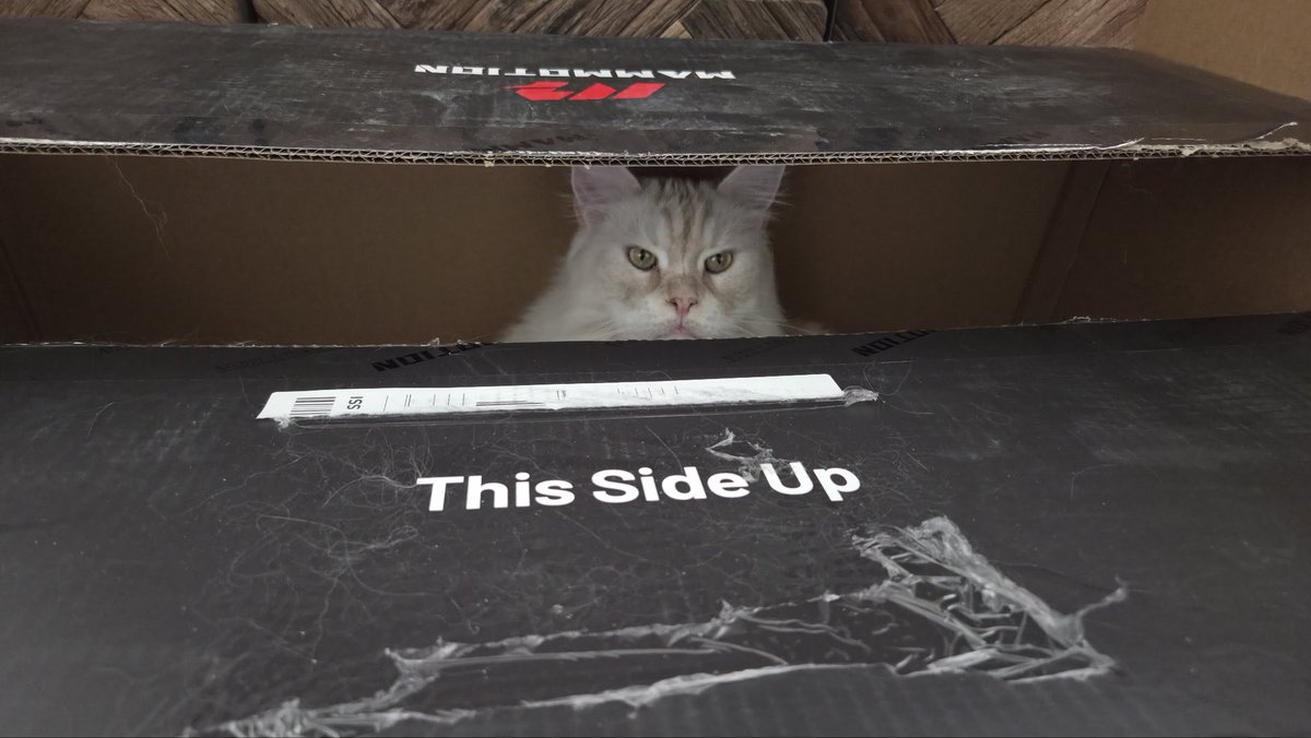 Olessia Sairanen 🇺🇦🇫🇮🌻💃 tweet media