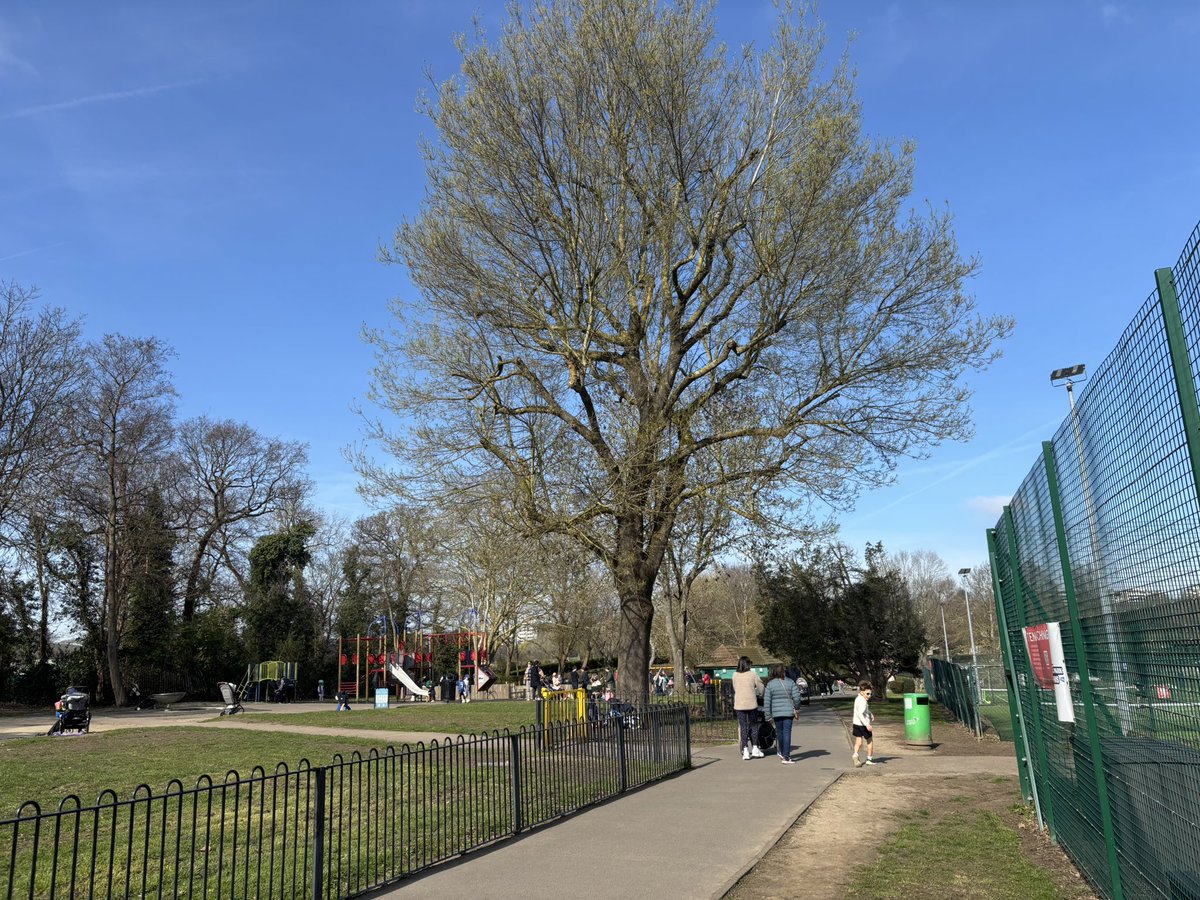 Daniel Mulhall tweet media