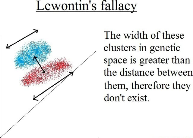 ๐ด๐ผ๐ฟ๐ด๐๐พ๐๐ธ๐ฝ๐๐ด๐๐ฝ๐ด๐ tweet media